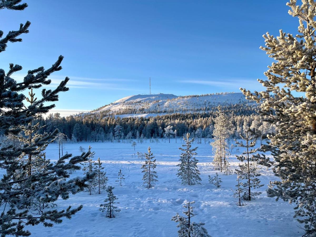 Pyhae Saukonpiilo * Pelkosenniemi